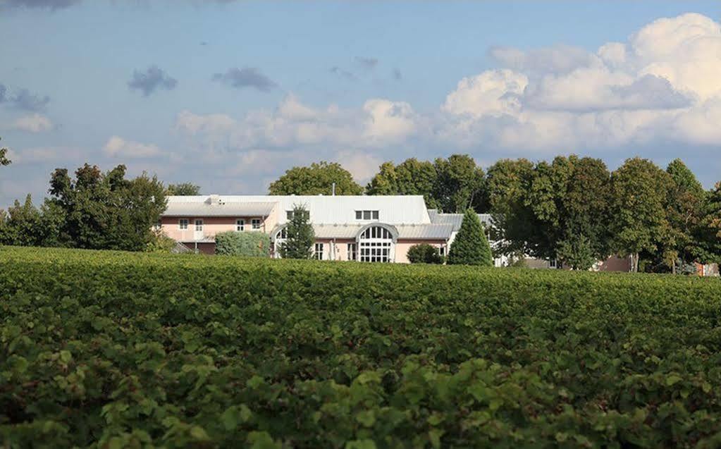 Hotel Landgut Schill Osthofen Exteriér fotografie